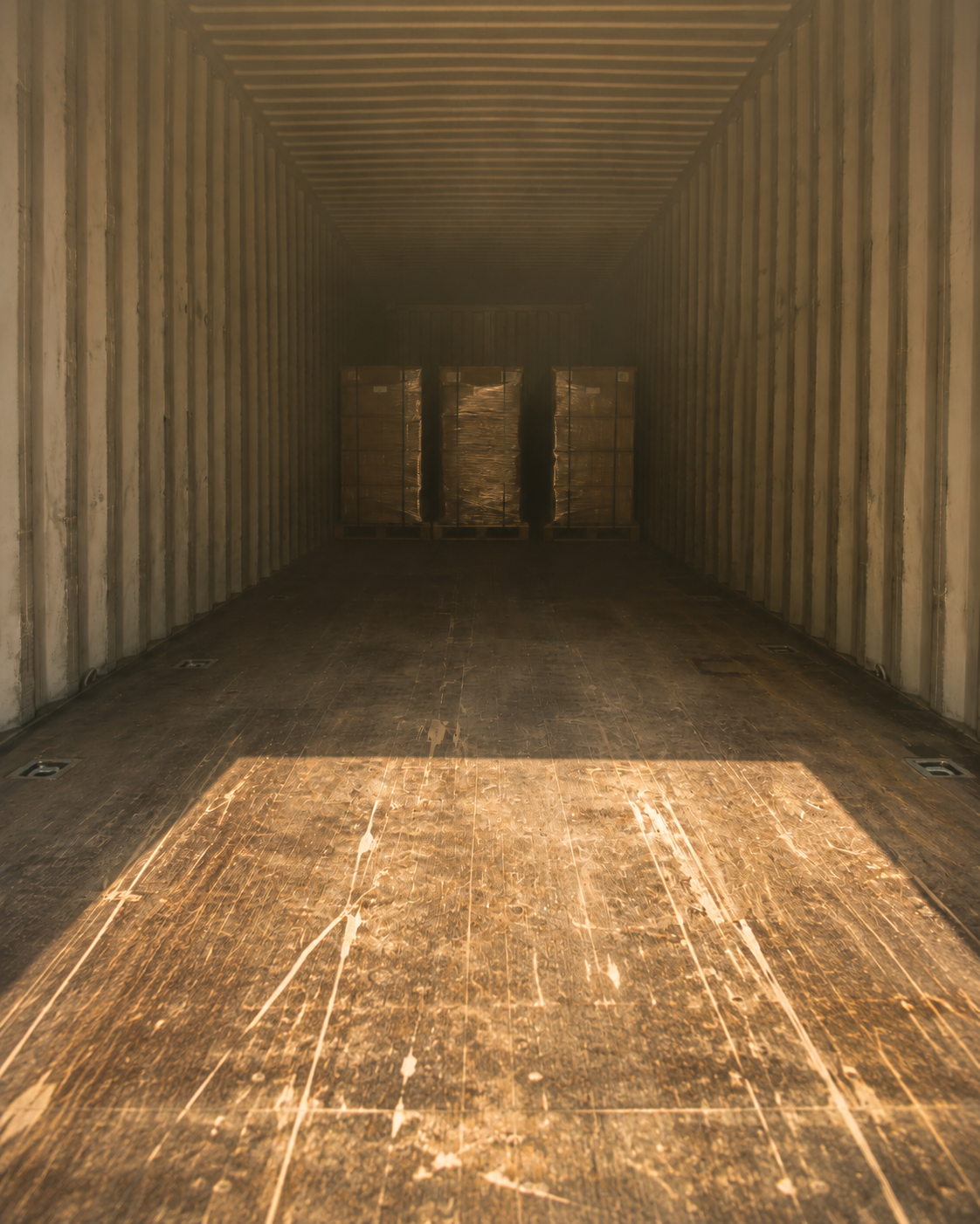 An interior view looking down an open shipping container towards three shrink-wrapped pallets loaded at the far end.